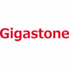Gigastone View Product Image