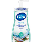 Dial Antibacterial Foaming Hand Wash, Coconut Water Scent, 10 oz, 8/Carton