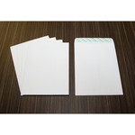 Business Source Self Sealing Catalog Envelope (BSN65450) View Product Image