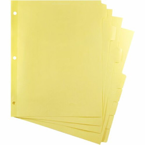 Business Source Mylar-reinforced Plain Tab Indexes - 8 Write-on Tab(s) - 8 Tab(s)/Set - 8.5" Divider Width x 11" Divider Length - Letter - 3 Hole Punched