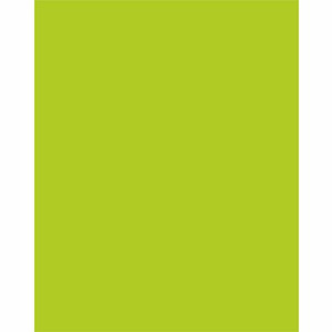 UCreate Neon Poster Board - 22" Width x 28" Length - Hot Lime