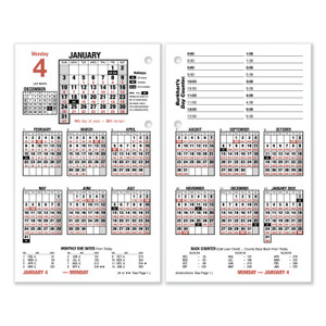 AT-A-GLANCE Burkhart's Day Counter Desk Calendar Refill, 4.5 x 7.38, White Sheets, 12-Month (Jan to Dec): 2025