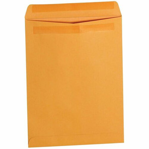 Business Source Self-Seal Catalog Envelopes - BSN35290