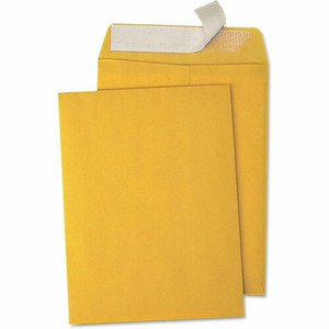 Business Source Kraft Peel-and-Stick Catalog Envelopes - BSN40102
