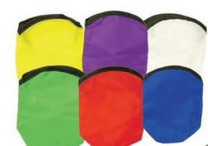 FRISBEE 3Rs LOGO