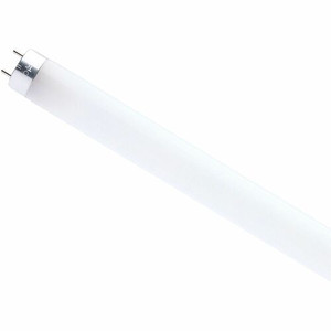 Satco 11 Watt LED T8 Bulb - SDNS49936R1