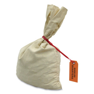 CONTROLTEK Canvas Coin Transit Bag, 12 x 19, Beige
