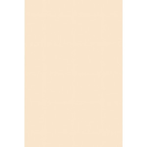 Pacon Tagboard - Craft, Art - 24" Width x 36" Length - Manila