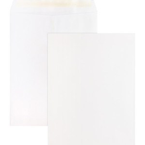 Business Source Self Sealing Catalog Envelopes - Catalog - 10" Width x 13" Length - 28 lb - Peel & Seal - White