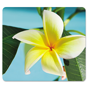 Fellowes Recycled Mouse Pad, 9 x 8, Yellow Flowers Design (FEL5913801) View Product Image