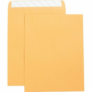 Business Source Self Adhesive Kraft Catalog Envelopes - Catalog - 10" Width x 13" Length - 28 lb - Self-sealing - Brown Kraft