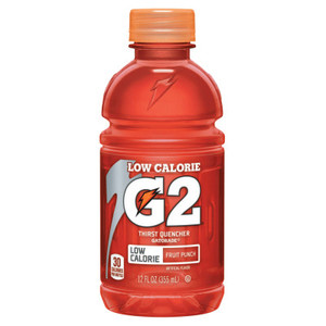 G2 Fruit Punch (308-12202)