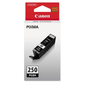 Canon 6497B001 (PGI-250) ChromaLife100+ Ink, 300 Page-Yield, Black View Product Image