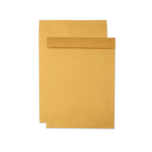 Quality Park Jumbo Size Kraft Envelope, Cheese Blade Flap, Fold-Over Closure, 15 x 20, Brown Kraft, 25/Pack (QUA42355) View Product Image