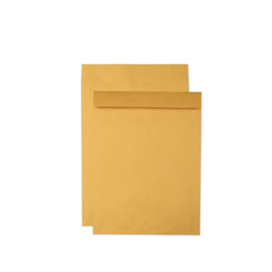 Quality Park Jumbo Size Kraft Envelope, Cheese Blade Flap, Fold-Over Closure, 17 x 22, Brown Kraft, 25/Pack