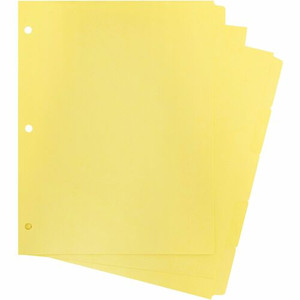 Business Source Mylar-reinforced Plain Tab Indexes - 5 Write-on Tab(s) - 5 Tab(s)/Set - 8.5" Divider Width x 11" Divider Length - Letter - 3 Hole Punched
