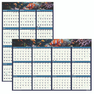 House of Doolittle Earthscapes Recycled Reversible/Erasable Yearly Wall Calendar, Sea Life Photos, 24 x 37, White Sheets, 12-Month(Jan-Dec):2025