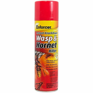 Enforcer Instant Knockdown Wasp/Hornet Spray - Spray - Kills Wasp, Hornet, Yellow Jacket - 16 fl oz - Clear, Light Yellow