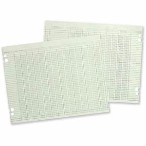 Wilson Jones 20-Column Ruled Sheets - 24 lb - Double Sided Sheet - Ledger - 11.88" x 9.25" Sheet Size - 4 x Holes