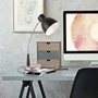 OttLite Wellness Series Adjust LED Desk Lamp, 3" to 22" High, Silver/Matte Black