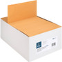 Business Source Durable Kraft Catalog Envelopes (BSN42099) View Product Image