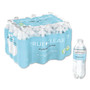 True Clear Purified Bottled Water, 16.9 oz Bottle, 24 Bottles/Carton