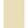 Tru-Ray Construction Paper (PACP103043)