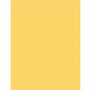Business Source Multipurpose Color Paper - BSN05122