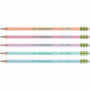 Ticonderoga Pastel Wood-Cased No. 2 Pencils - DIXX137180001