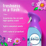 Febreze Air Effects Air Freshener - PGC17341
