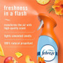 Febreze Air Effects Air Freshener - PGC17342