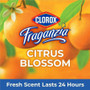 Clorox Fraganzia Multi-Purpose Cleaner - CLO60615