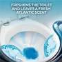 Lysol Toilet Bowl Cleaner - RAC95766