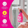 The Pink Stuff Window Cleaner with Rose Vinegar - RST82384