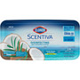 Clorox Scentiva Disinfecting Wet Mopping Pad Refills, Bleach-Free (CLO32034CT) View Product Image