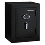 Sentry Safe Executive Fire-Safe, 3.4 cu ft, 21.75w x 19d x 27.75h, Black (SENEF3428E) View Product Image