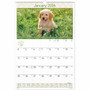 CALENDAR;WALL;MONTH;PUPPIES