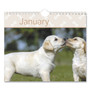 AT-A-GLANCE Puppies Monthly Wall Calendar, Puppies Photography, 15.5 x 22.75, White/Multicolor Sheets, 12-Month (Jan to Dec): 2024 View Product Image