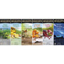 Bigelow Assorted Flavor Herbal Tea Bag - Herbal Tea - 28/Box