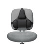 Fellowes Professional Series Back Support with Microban Protection, 15 x 2 x 14.5, Black