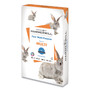 Hammermill Fore Multipurpose Print Paper, 96 Bright, 20 lb Bond Weight, 8.5 x 14, White, 500/Ream