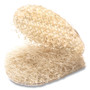 VELCRO Brand Sticky-Back Fasteners with Dispenser Box, Removable Adhesive, 0.75" dia, Beige, 200/Roll