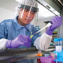 Kimtech PURPLE NITRILE Exam Gloves, 242 mm Length, Large, Purple, 100/Box (KCC55083) View Product Image