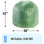 Stout by Envision EcoSafe-6400 Bags, 48 gal, 0.85 mil, 42" x 48", Green, 40/Box (STOE4248E85) View Product Image