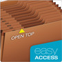 Pendaflex Heavy-Duty Open-Top Expanding Stadium File, 12 Sections, 1/3-Cut Tabs, Letter Size, Redrope
