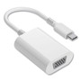 NXT Technologies USB-C to VGA Display Adapter, 6", White View Product Image