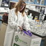 Kimtech PURPLE NITRILE Exam Gloves, 310 mm Length, Medium, Purple, 500/Carton (KCC50602) View Product Image