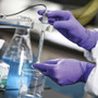 Kimtech PURPLE NITRILE Exam Gloves, 310 mm Length, Medium, Purple, 500/Carton (KCC50602) View Product Image