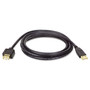 Tripp Lite USB 2.0 A Extension Cable, 10 ft, Black (TRPU024010) View Product Image