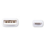 Innovera USB Apple Lightning Cable, 3 ft, White